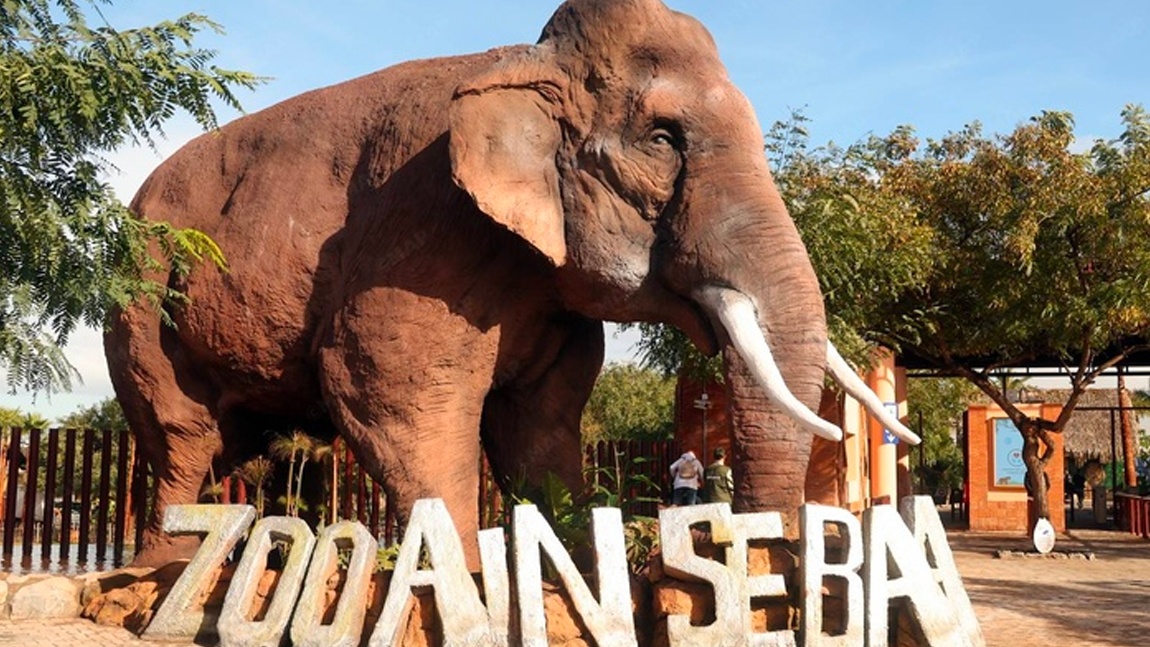 Casablanca : Le parc zoologique d’Aïn Sebaâ rouvre ses portes après un vaste réaménagement