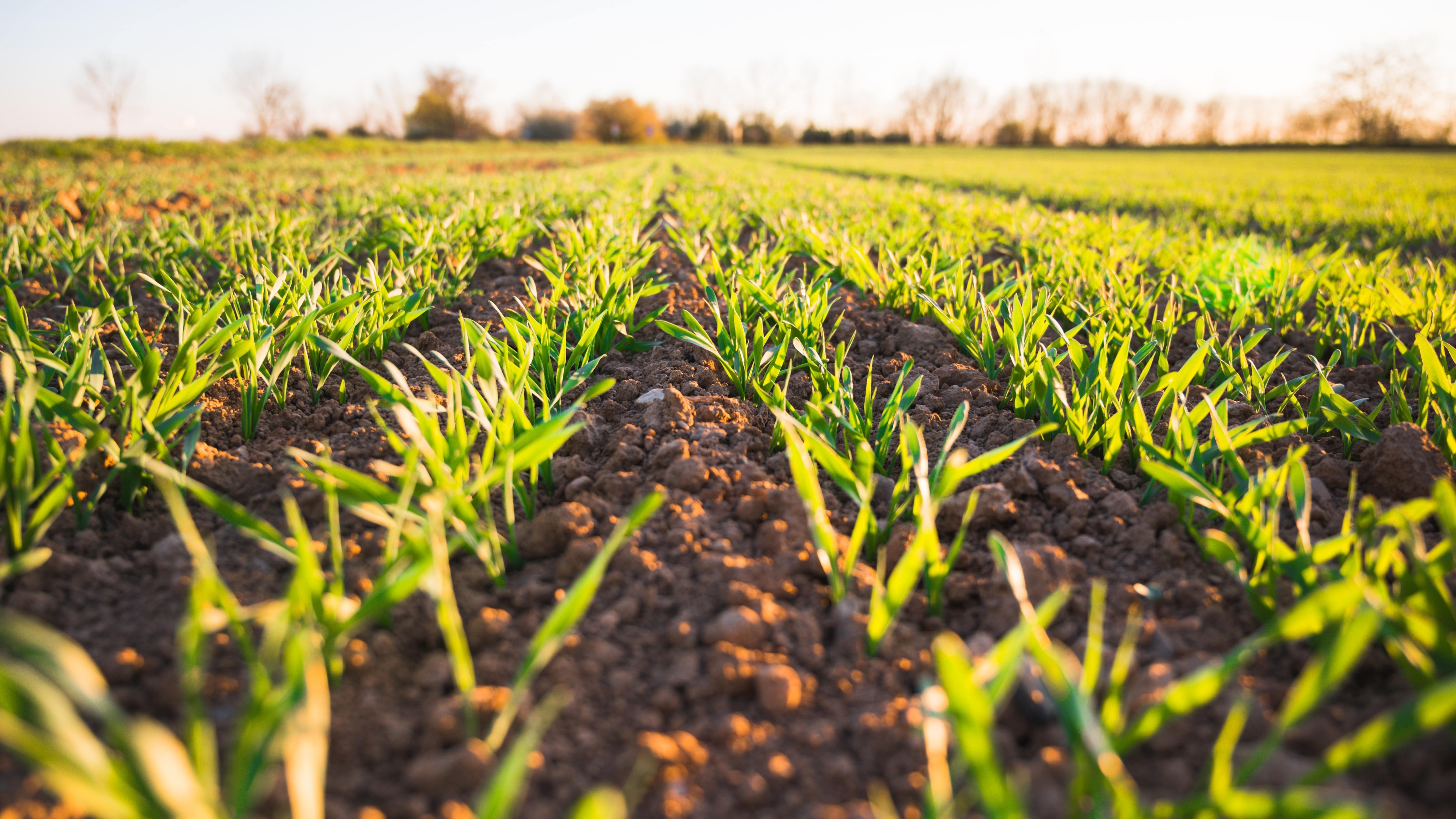 "Génération Green" : Des projets de près de 200 MDH programmés à Taza
