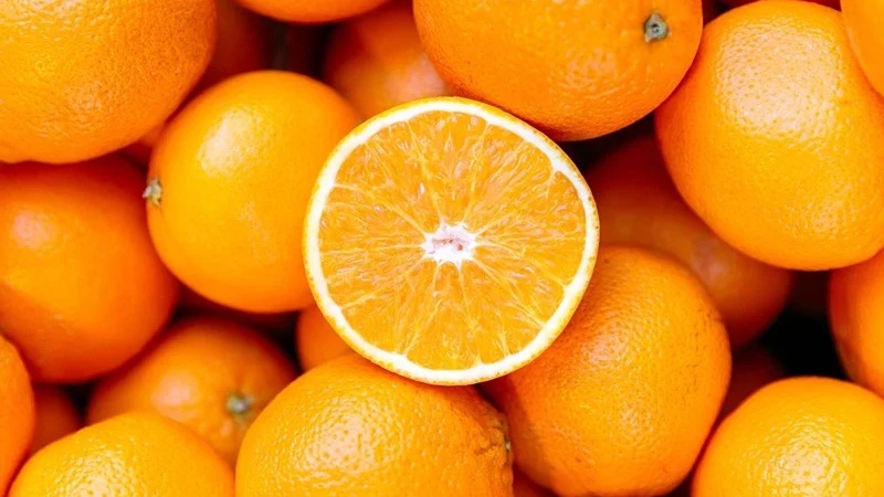 Hausse de 38 % des exportations d’oranges en 2024-2025