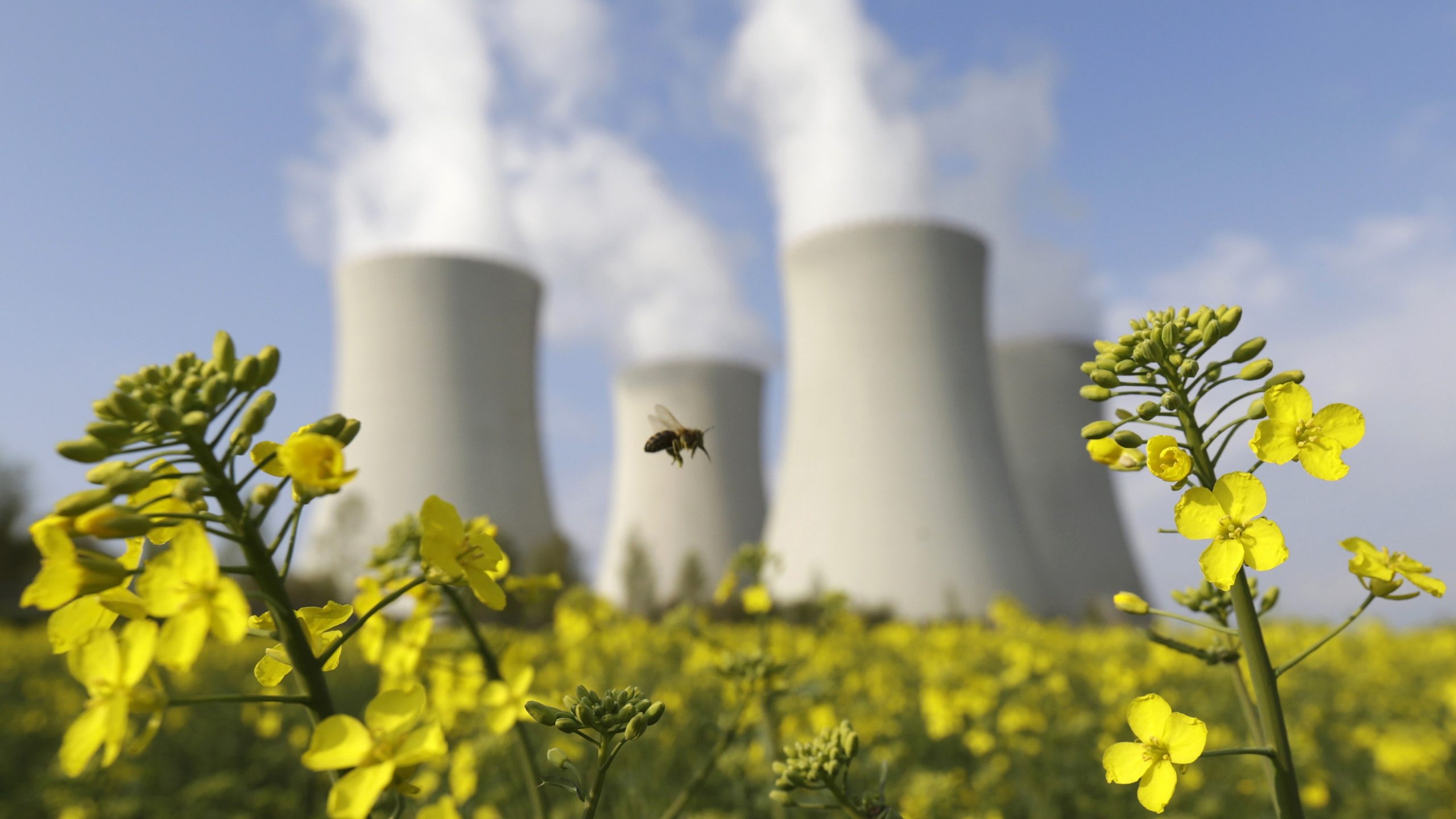 Techniques nucléaires et agriculture au Maroc 