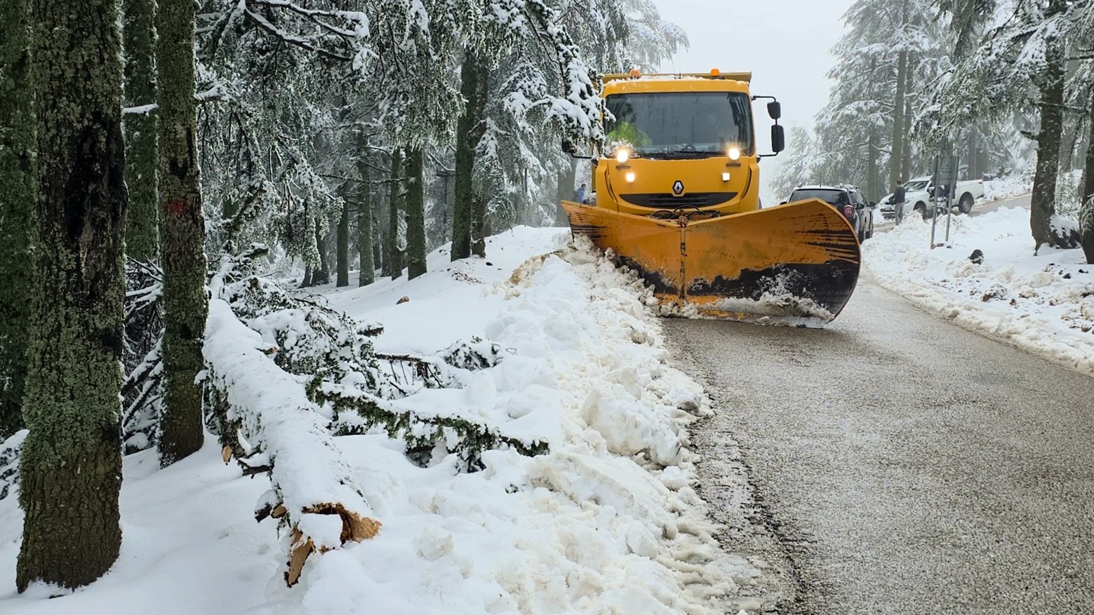 Bulletin d'alerte : Chutes de neige, temps froid et fortes pluies, de mardi à jeudi