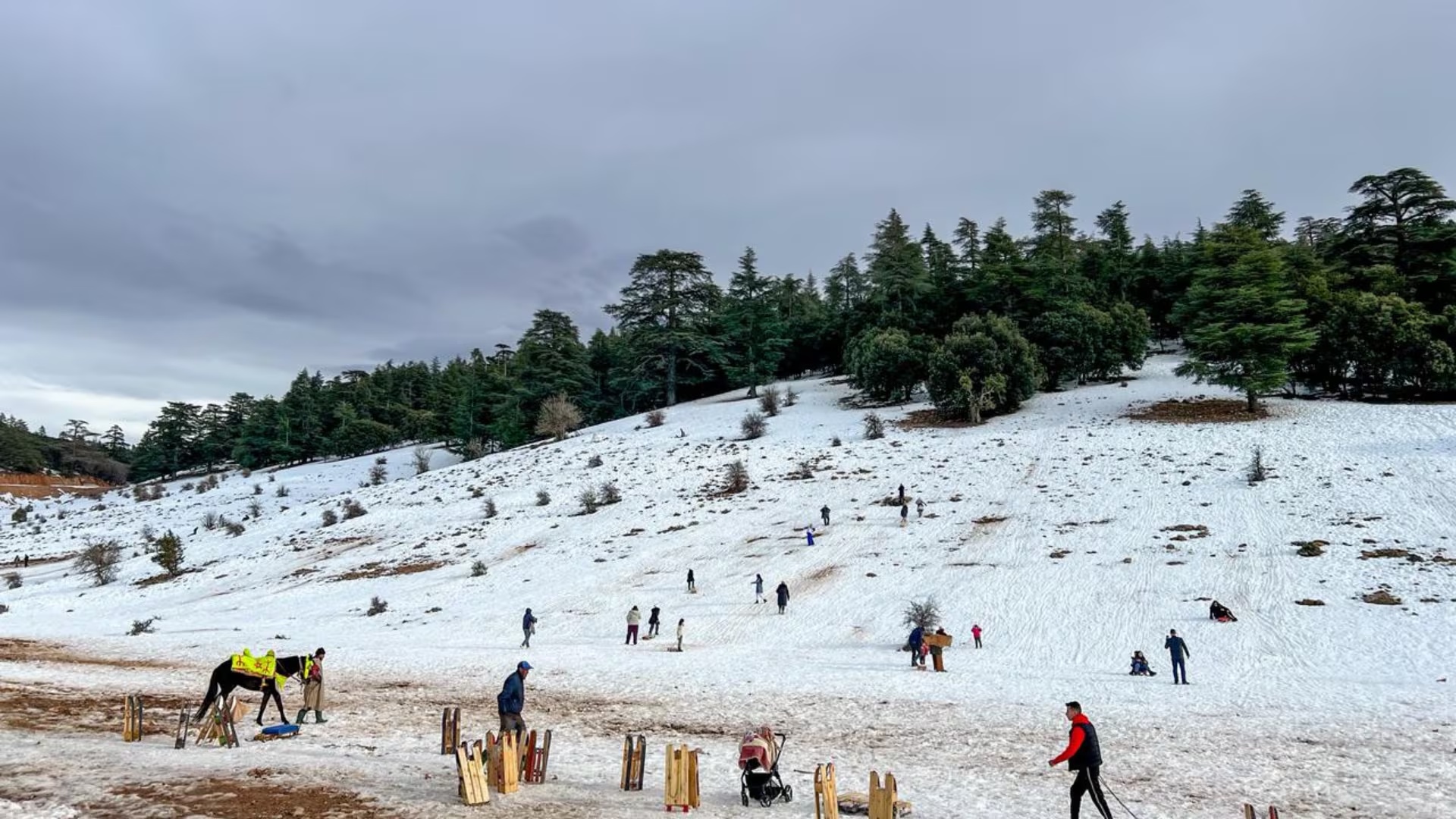 Bulletin d'alerte : Fortes pluies avec risque d'orages, chutes de neige, rafales de vent et temps froid de vendredi à dimanche
