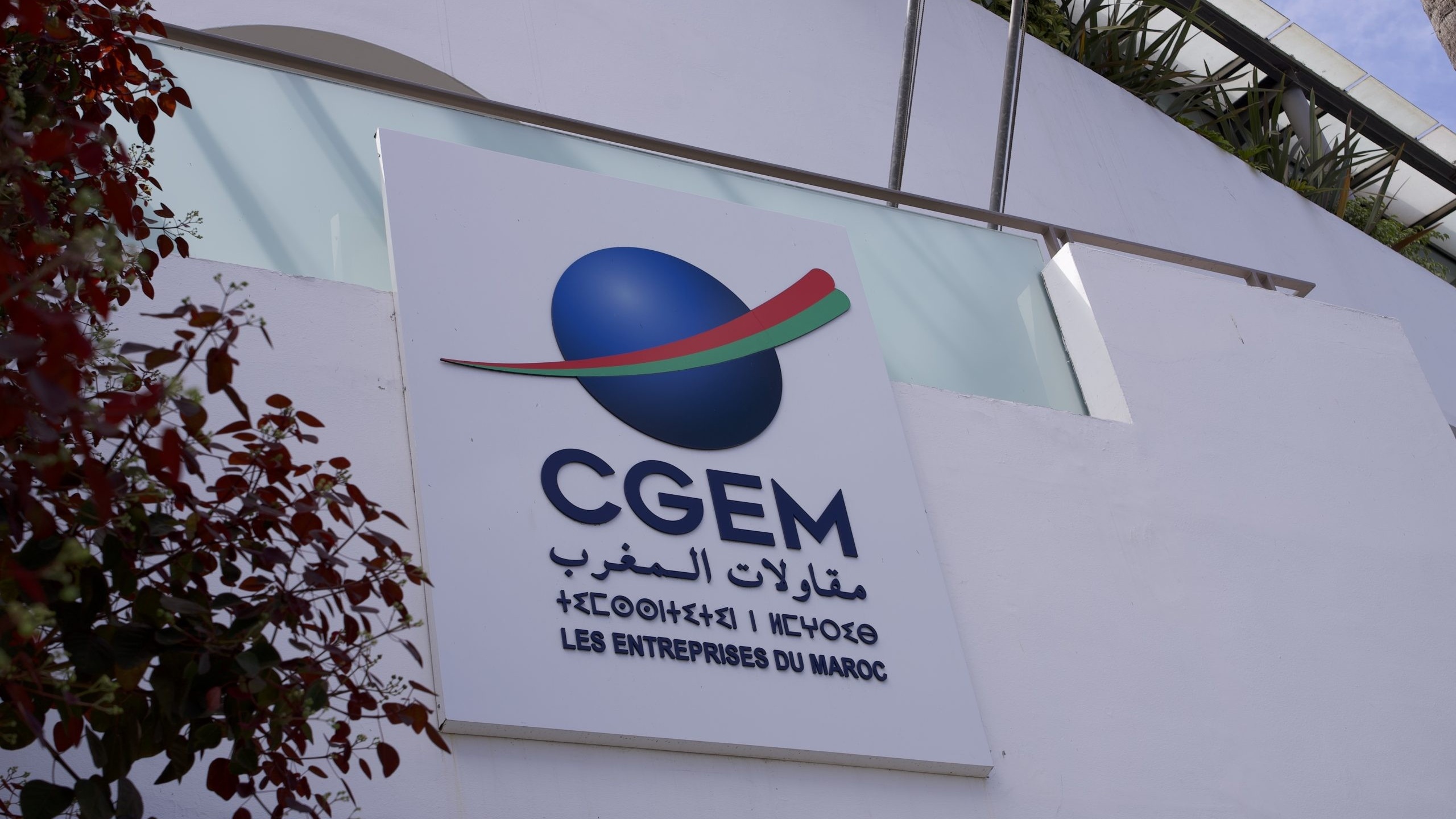 Mentorat entrepreneurial : MeM by CGEM et la Konrad-Adenauer-Stiftung lancent la plateforme "Mentoring MeM"