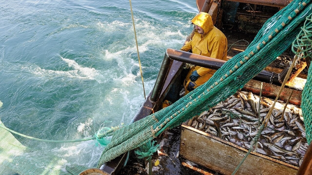 Port de Tarfaya: Hausse de 43 % des débarquements de pêche en 2025