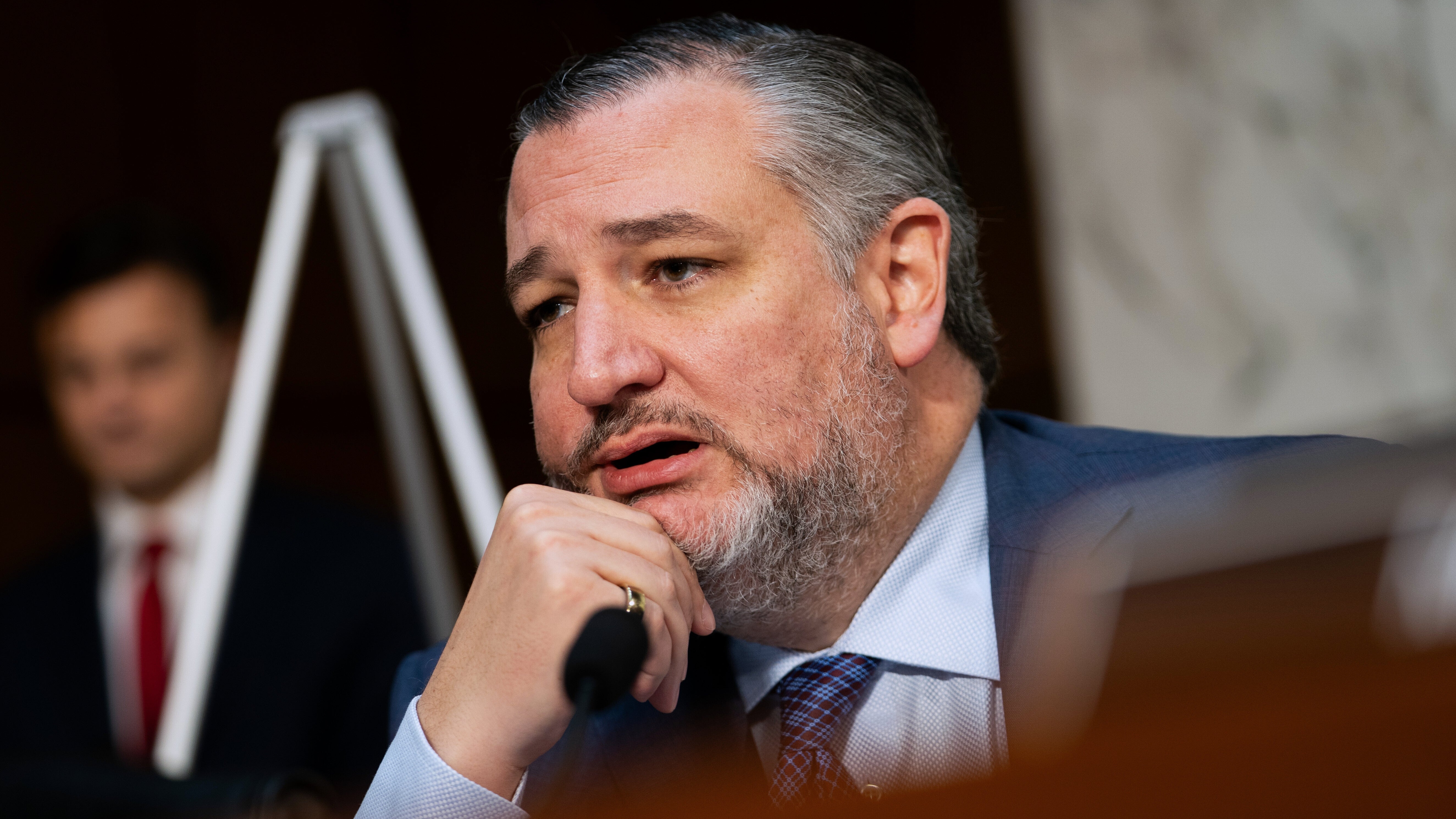 Etats-Unis : l’influent Sénateur républicain Ted Cruz appelle à blacklister le Polisario