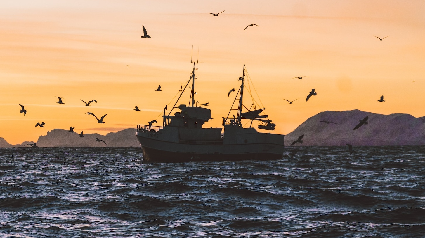 Pêche maritime : Un potentiel encore à quai