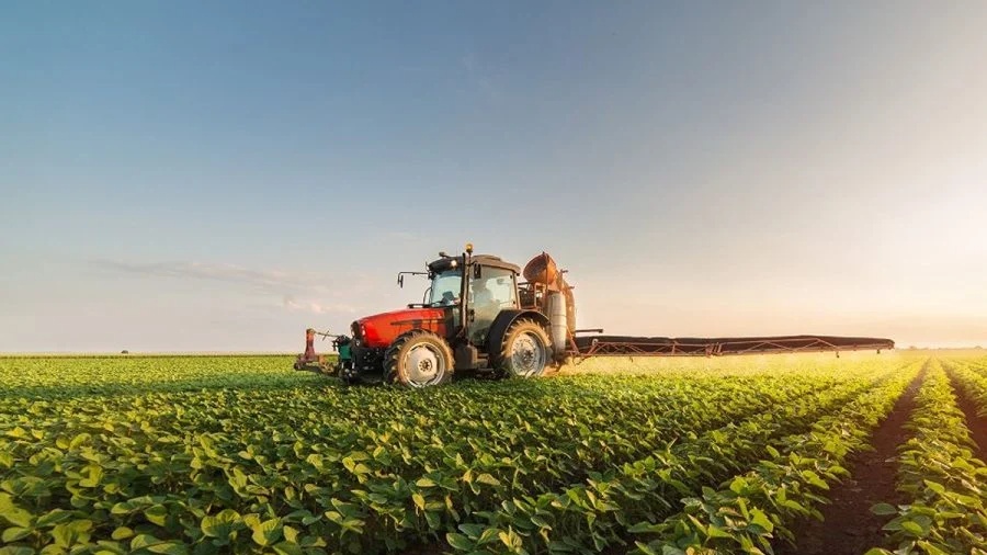 Quels leviers stratégiques pour assurer la sécurité alimentaire du Maroc au XXIᵉ siècle ?