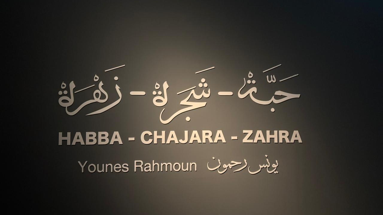 MMVI: Une installation vidéo immersive signée « Habba, Chajara, Zahra »