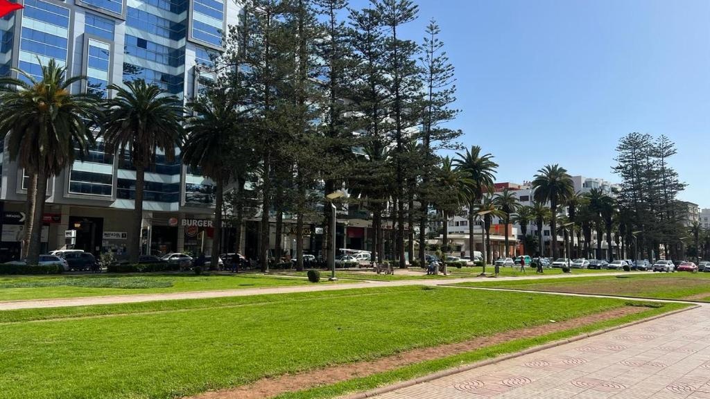 Mohammedia piqué au vif !