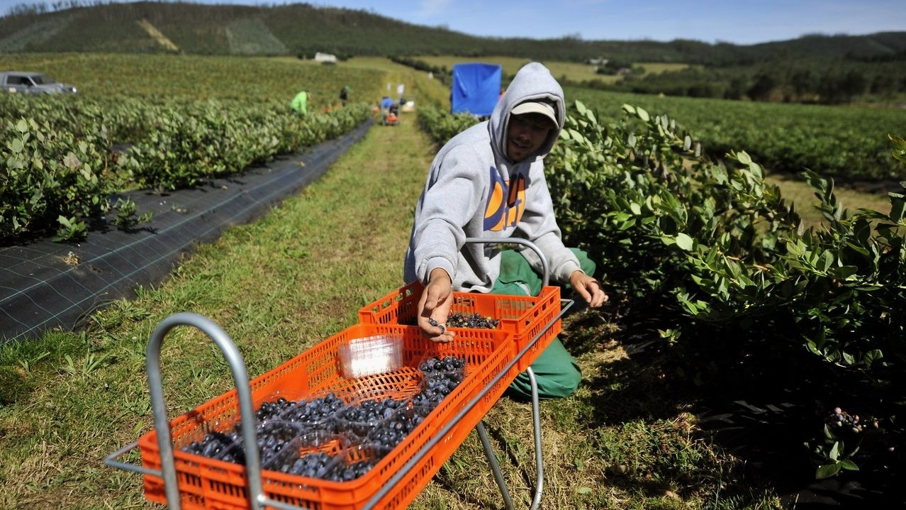 Espagne : 80 % des nouveaux emplois créés depuis 2024 occupés par des immigrés