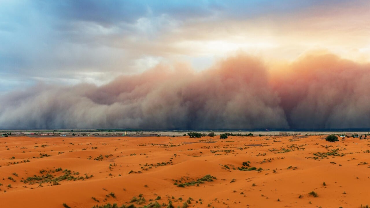 Bulletin d'alerte : tempête de sable et rafales jusqu’à 100 km/h attendues jeudi-vendredi dans le Sud et le Sud-Est