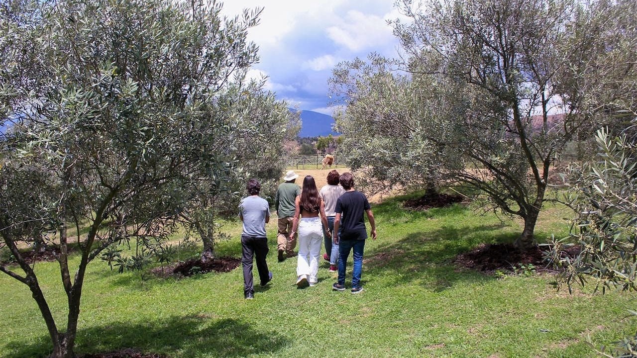 Ouezzane : 25 millions de dirhams pour le parc oléicole Tachta Bouhlal et partenariats sociaux approuvés