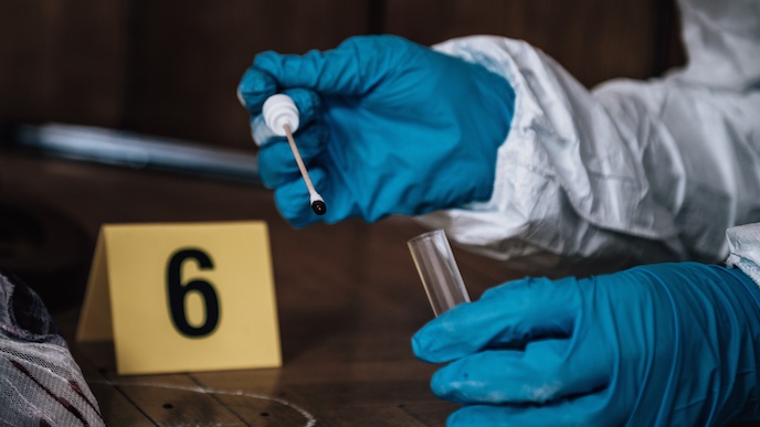 Un baiser peut-il faire de vous un suspect ?