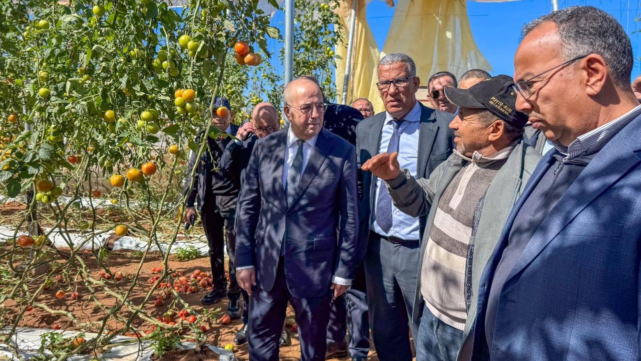 Chtouka Ait Baha : El Bouari annonce un soutien rapide aux maraîchers