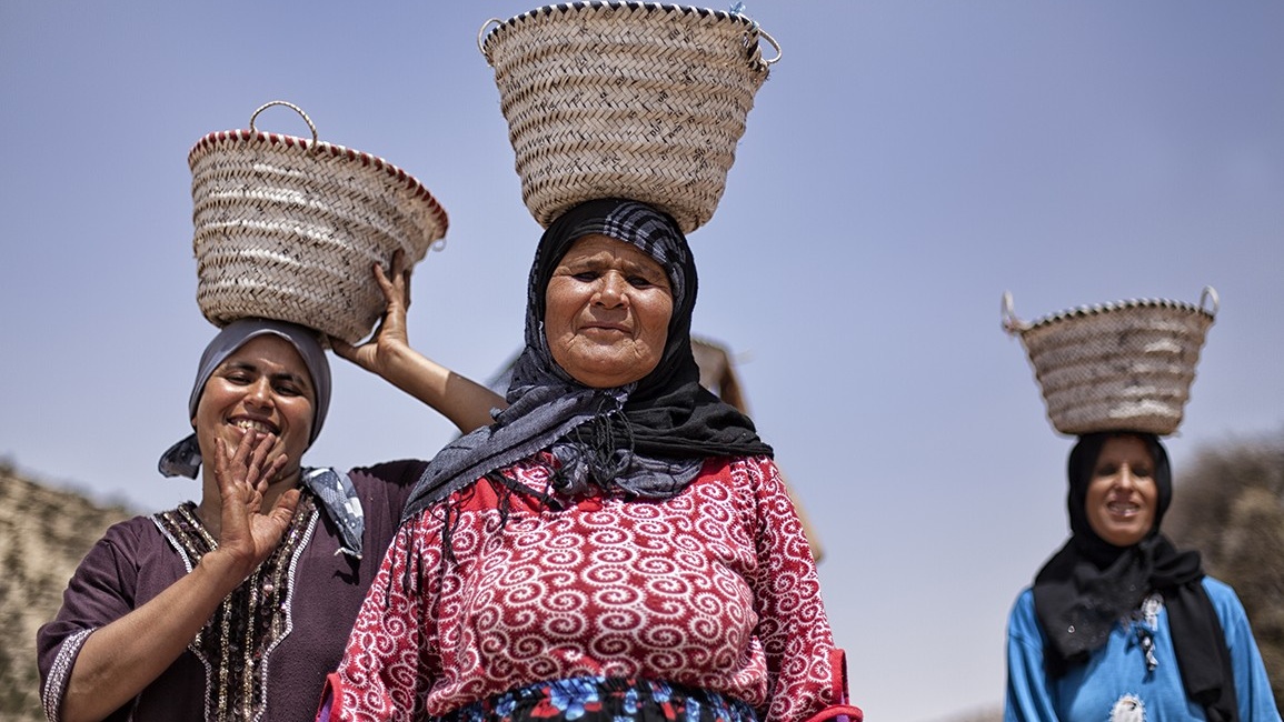 Tanger-Tétouan-Al Hoceima: Le taux de chômage des femmes stable à 13,3% en 2025