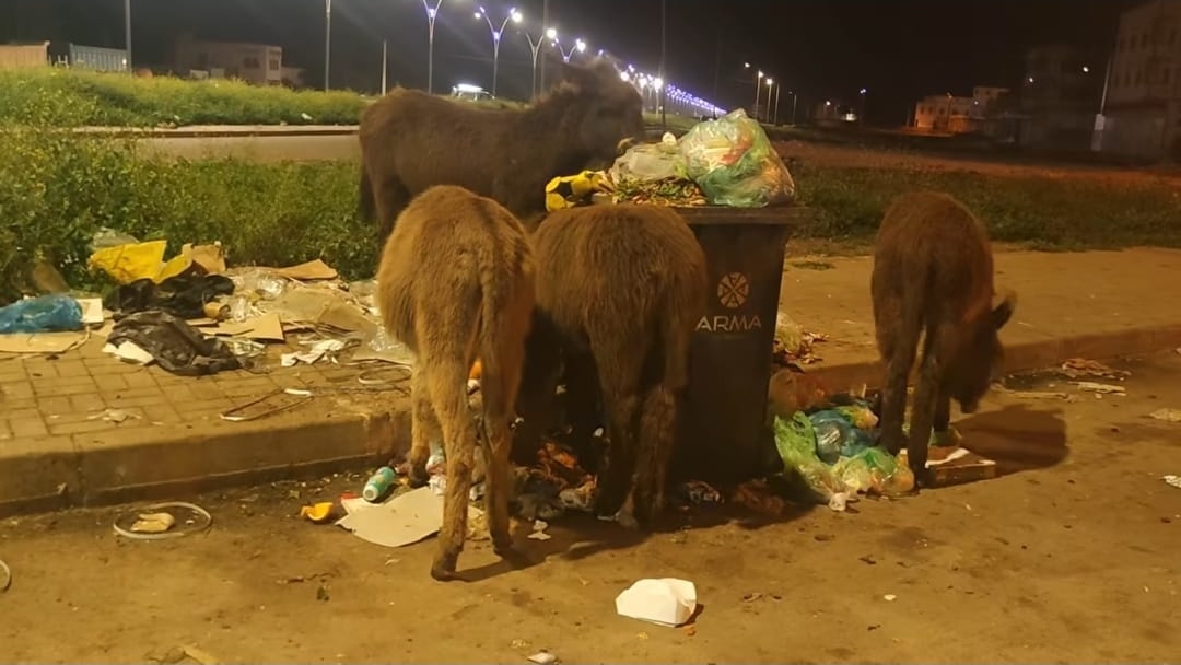 Sidi Bennour : Quand les ordures font office de politique municipale