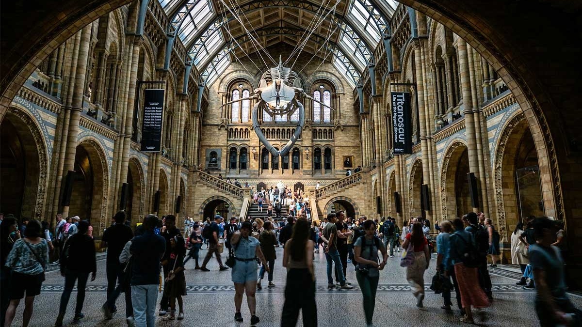 De vendeur ambulant à vitrine londonienne : l’incroyable parcours de l’aérinite marocaine au Natural History Museum
