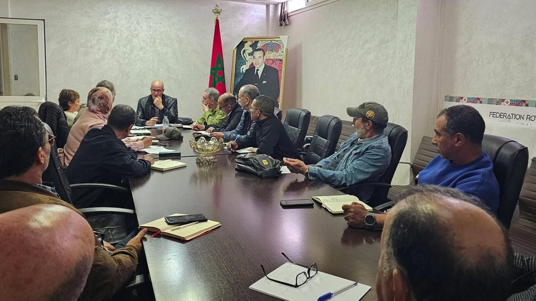 Gymnastique : Le Maroc lance son offensive internationale entre ambition mondiale et conquête africaine 