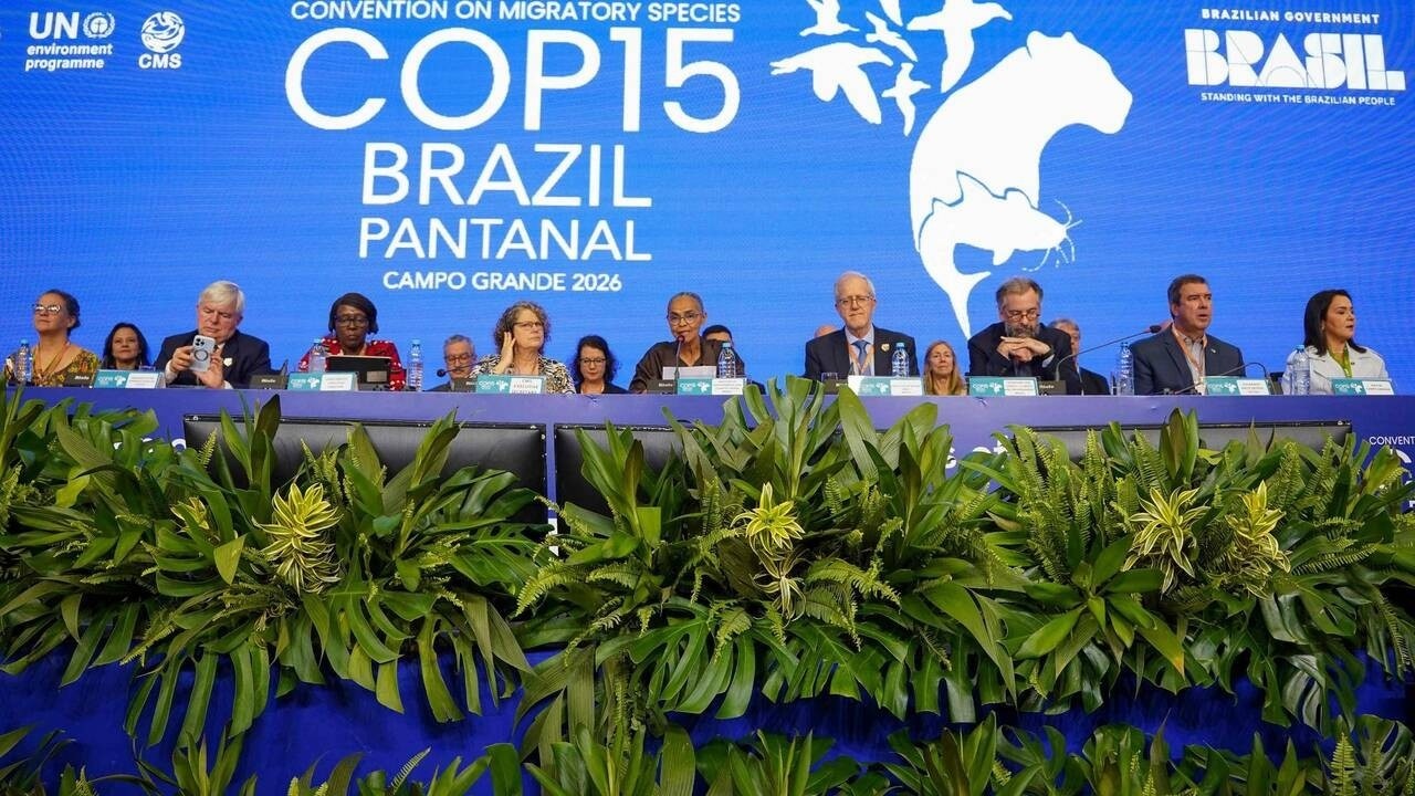 Biodiversité : le Maroc élu au Comité permanent de la Convention sur les espèces migratrices