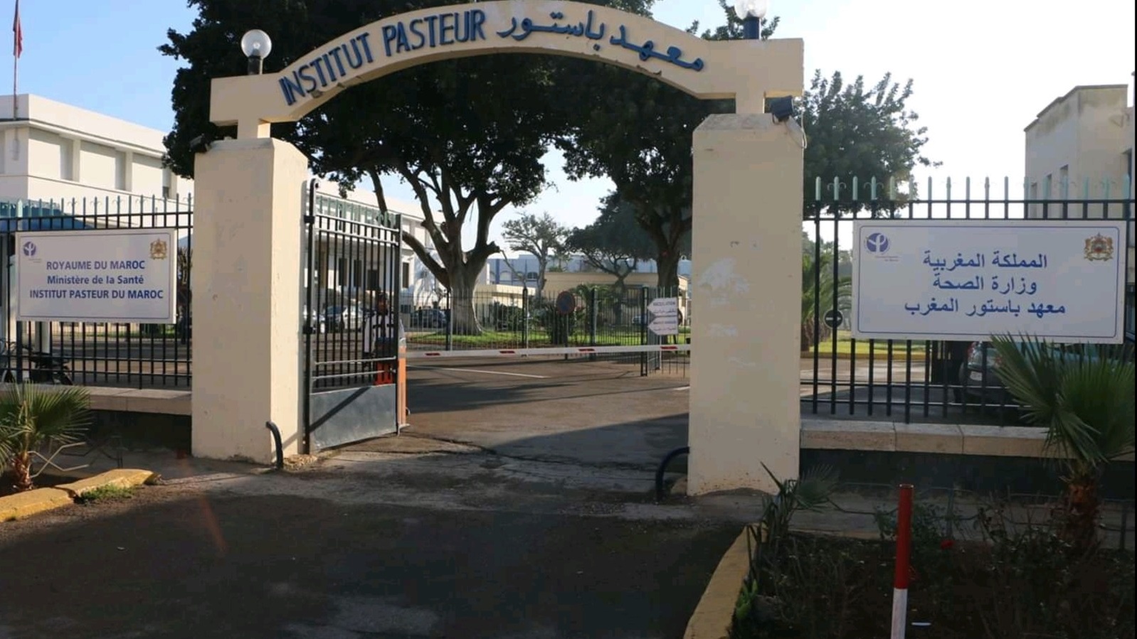 Aahd Oulad El Hassan nommée directrice de l’Institut Pasteur du Maroc