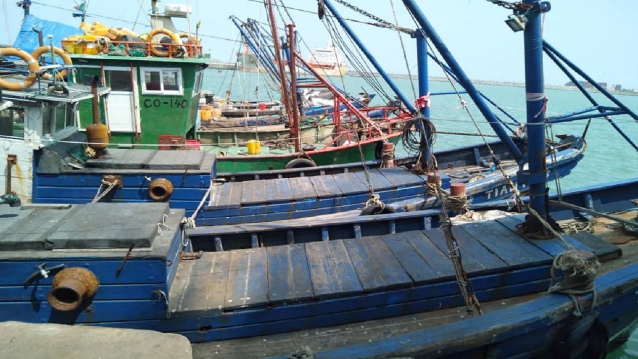 Pêche maritime : le Conseil de gouvernement réforme l’Institut supérieur des pêches maritimes et crée le cycle d’ingénieur d’État