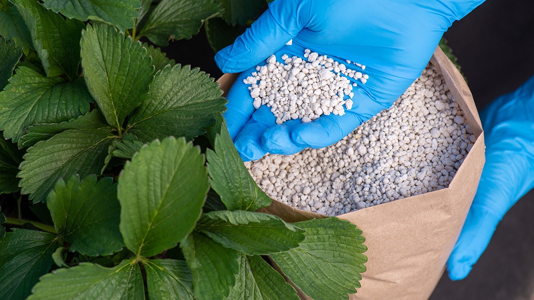 La Turquie entame des discussions avec le Maroc pour l’importation d’engrais