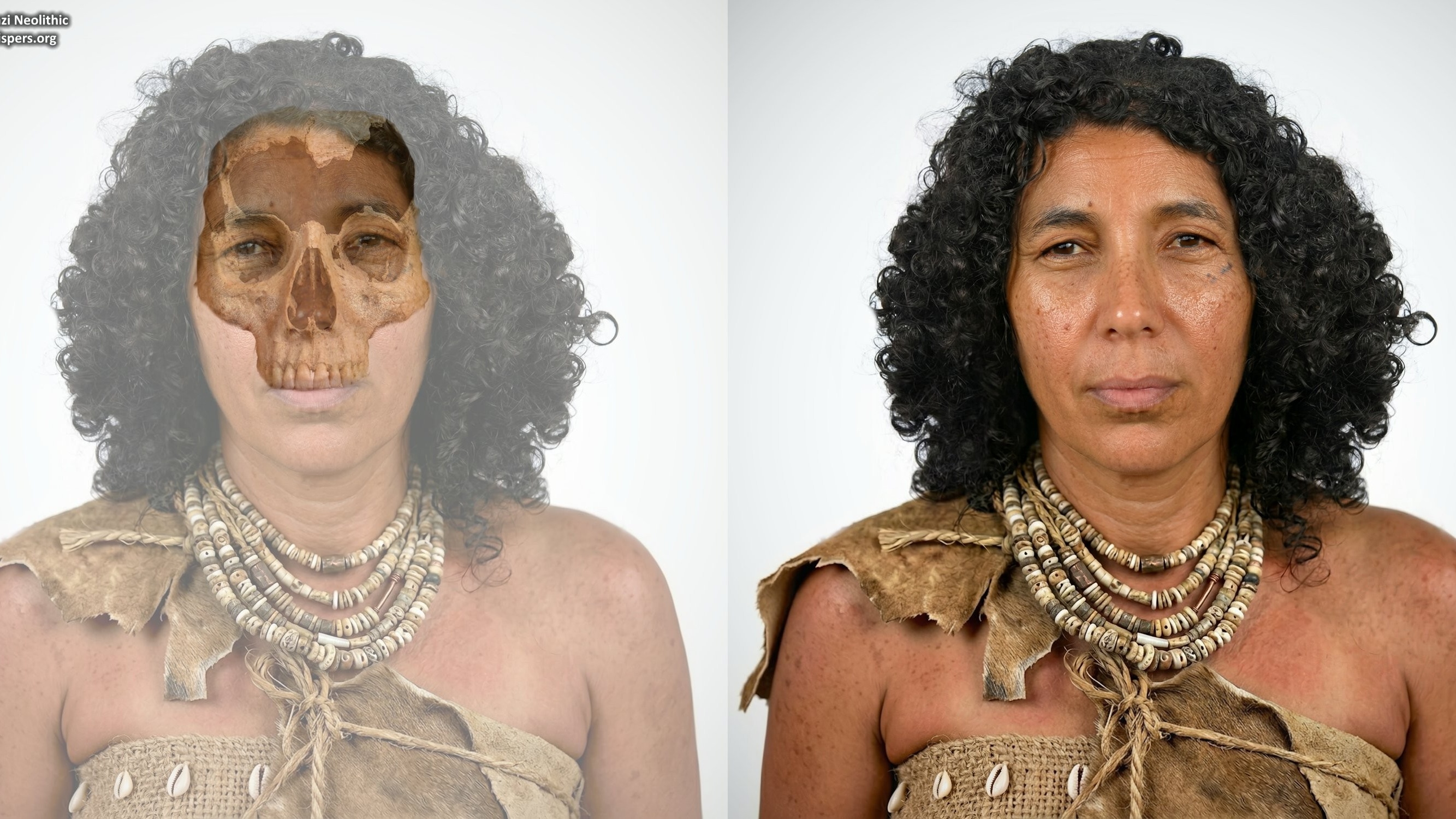 Une Marocaine du Néolithique reconstituée 6.400 ans après sa mort