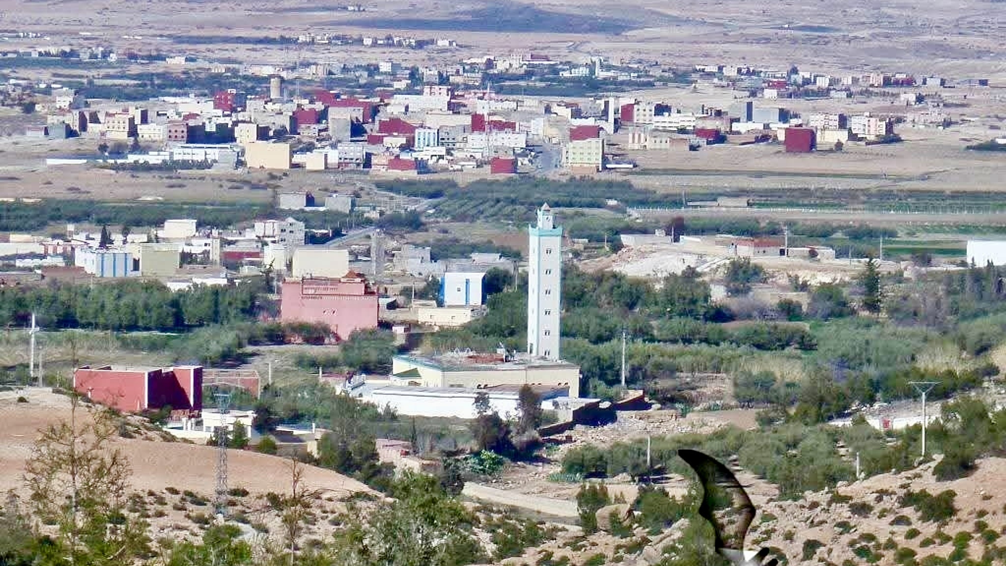 Taourirt: Aïn Zora , la fabrique de l'écotourisme de proximité