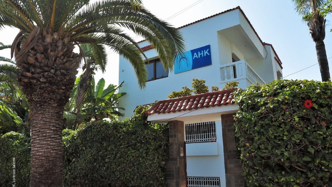 Investissements allemands : Dachser, Bayer et LEONI annoncent de nouveaux projets majeurs au Maroc