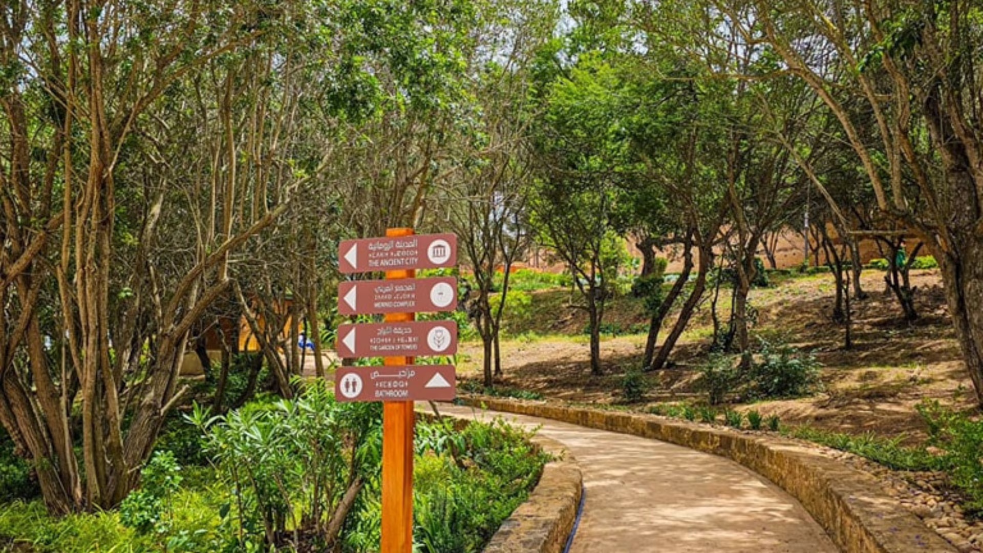 Safi lance l’aménagement de la forêt urbaine Al Araâr pour 14 MDH