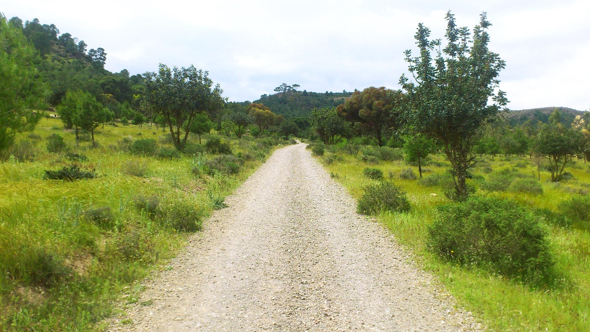 Oujda : Sidi Mâafa sous l’effet des pluies salvatrices