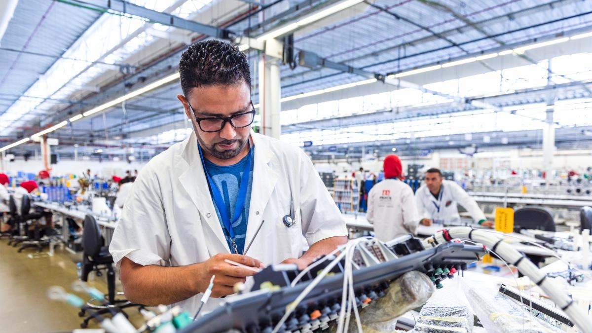 Croissance vs Emplois :  Paradoxe d’un tissu économique contrastant