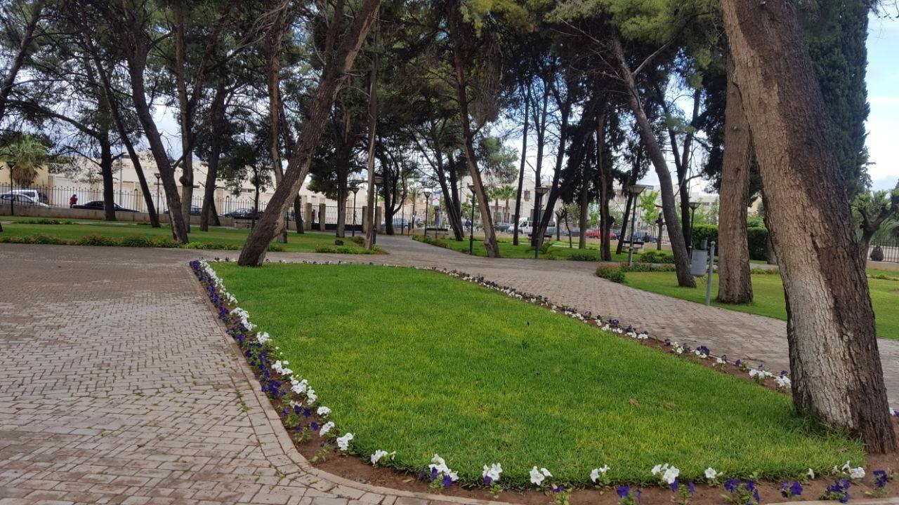 Oujda : Montée du végétal dans l’espace urbain