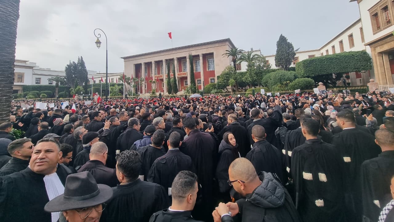 Avocats : les juristes universitaires réclament le droit de plaider 