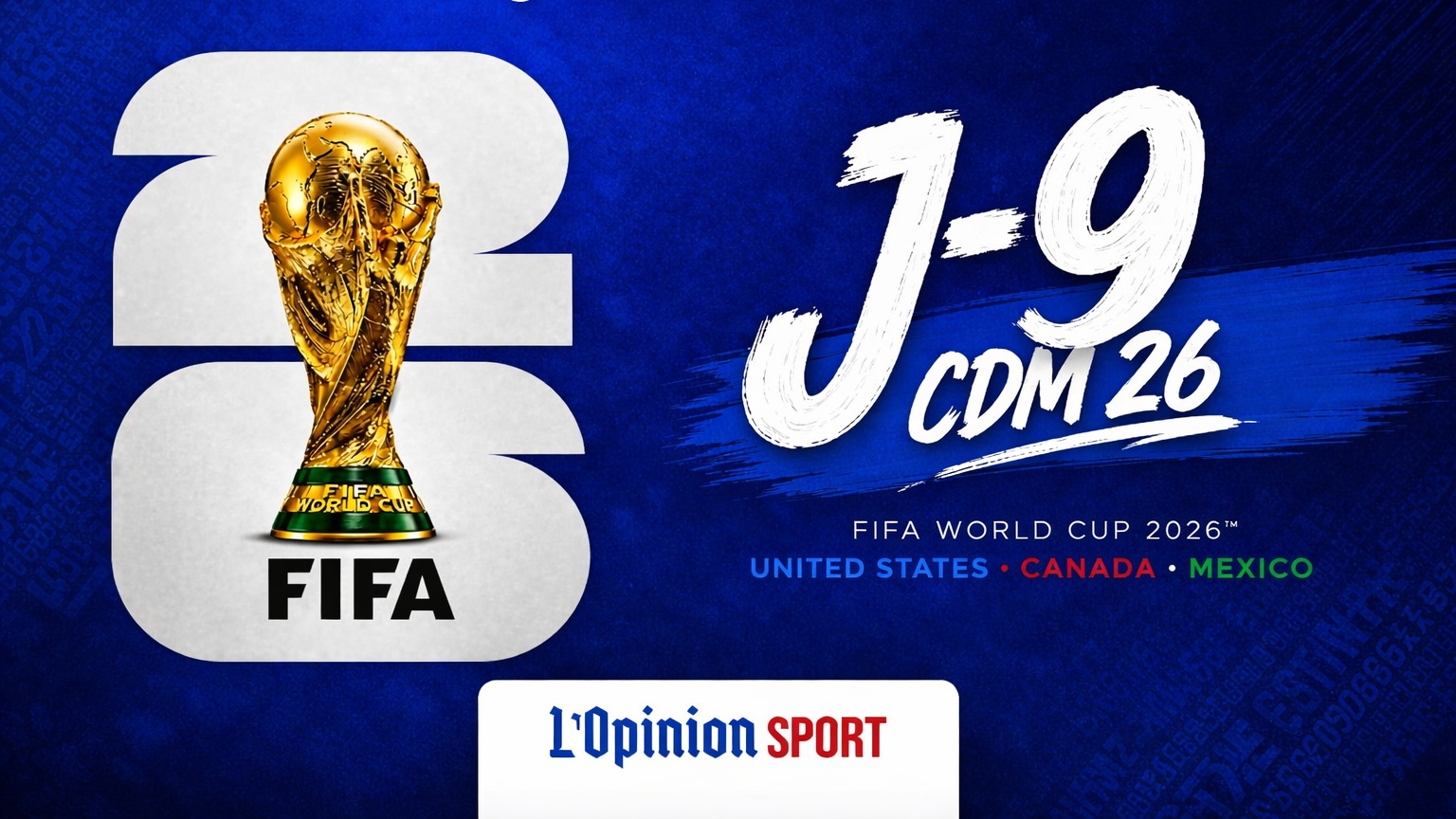 CDM J-9 : avant ultime test des Lions  ce mardi