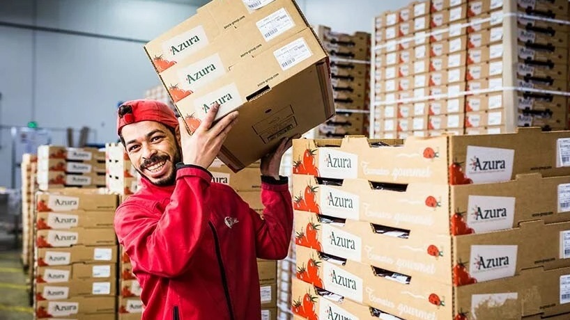 Azura décroche la certification "B Corp" pour son activité de tomate cerise