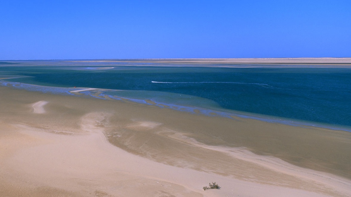 El Jadida : L’urgence écologique au cœur du débat national 