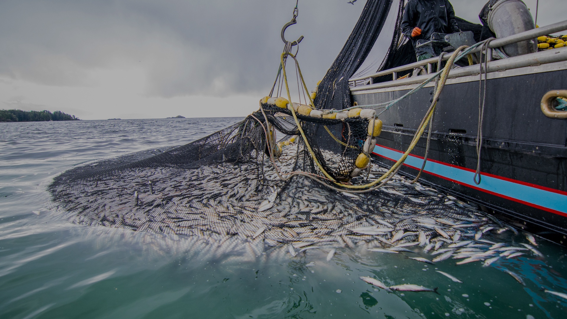 Dakhla : Des comités d'inspection pour débloquer l'exportation du poisson congelé