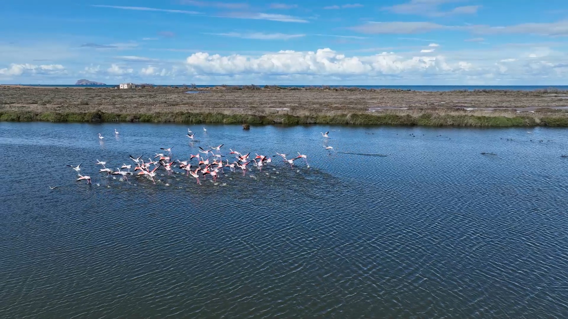 Berkane : L’embouchure de la Moulouya, un site d’intérêt écologique majeur