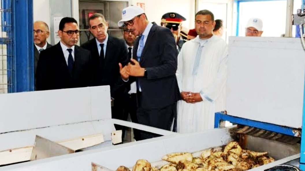 Sidi Bennour : une visite de terrain pour souligner le rôle stratégique de Cosumar dans la dynamique économique régionale