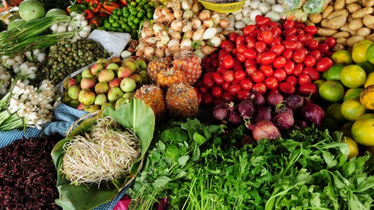  Conseil de l'Europe: L'expérience réussie du Maroc en matière de sécurité alimentaire mise en avant à Strasbourg