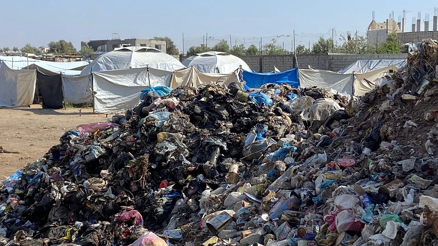 Palestine : La prolifération des rats augure d’une catastrophe sanitaire à Gaza