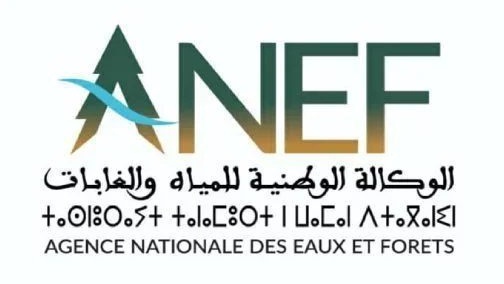 ANEF : risque extrême d'incendie dans douze provinces du Royaume du 6 au 12 juillet