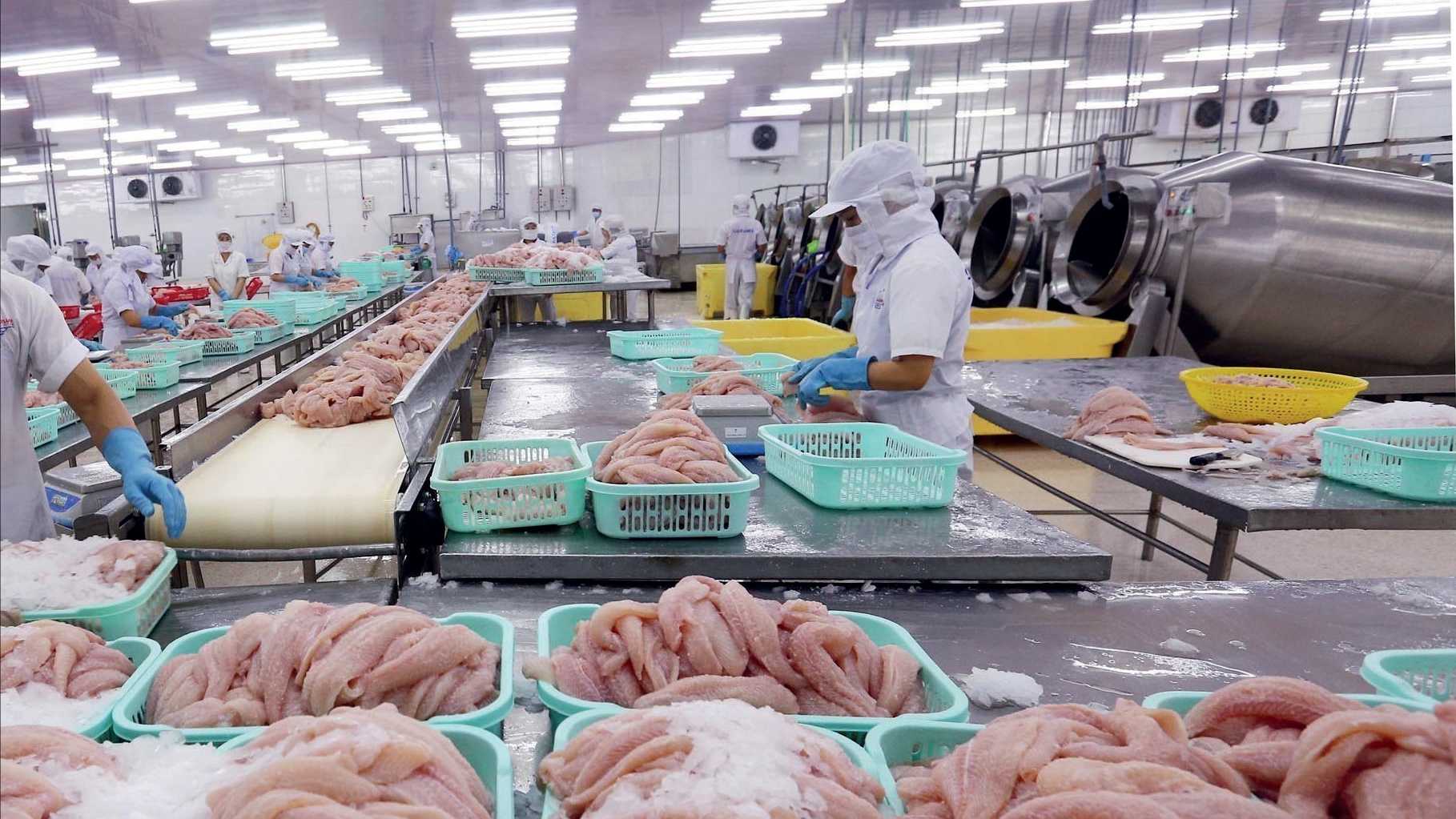 Secteur halieutique : Le Maroc muscle sa gouvernance des pêcheries 