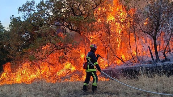 Incendies de forêt : l’ANEF place 12 provinces en risque extrême et appelle à une vigilance renforcée