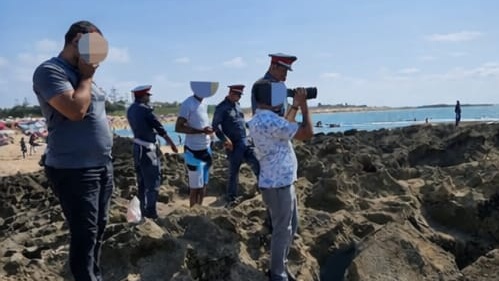 El Jadida : saisie de plus de 4,3 tonnes d'algues rouges collectées en infraction à la période de repos biologique