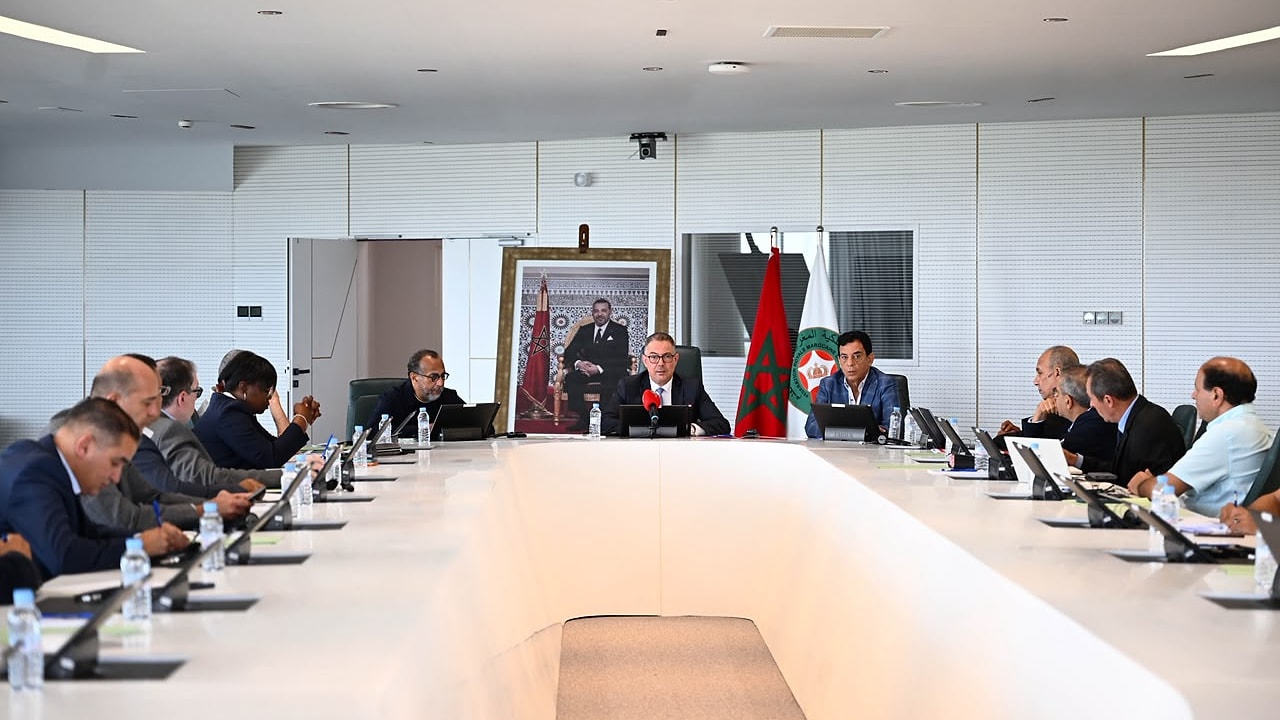 FRMF : la LNFP et la LNFA  à l' ordre de l' acte 2  des des travaux du Comité Directeur