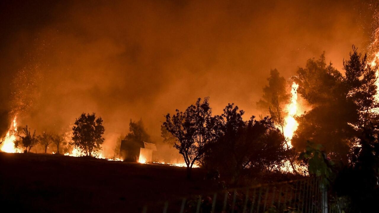 ANEF : 310 incendies de forêt enregistrés au Maroc du 1er janvier au 20 juillet 2026