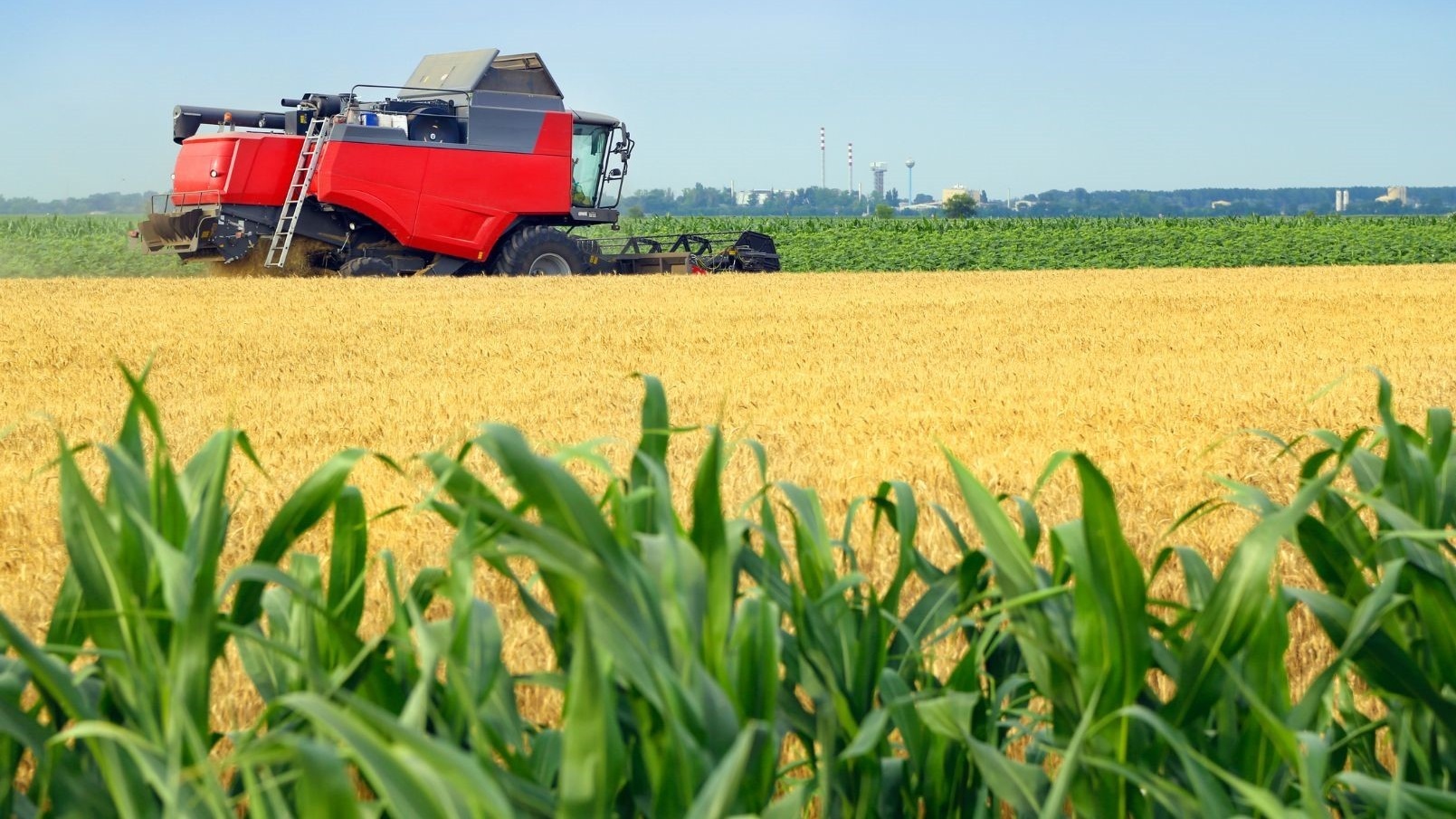 Agriculture : l’ADA approuve 125 projets d’investissement couvrant 5.877 ha en 2025