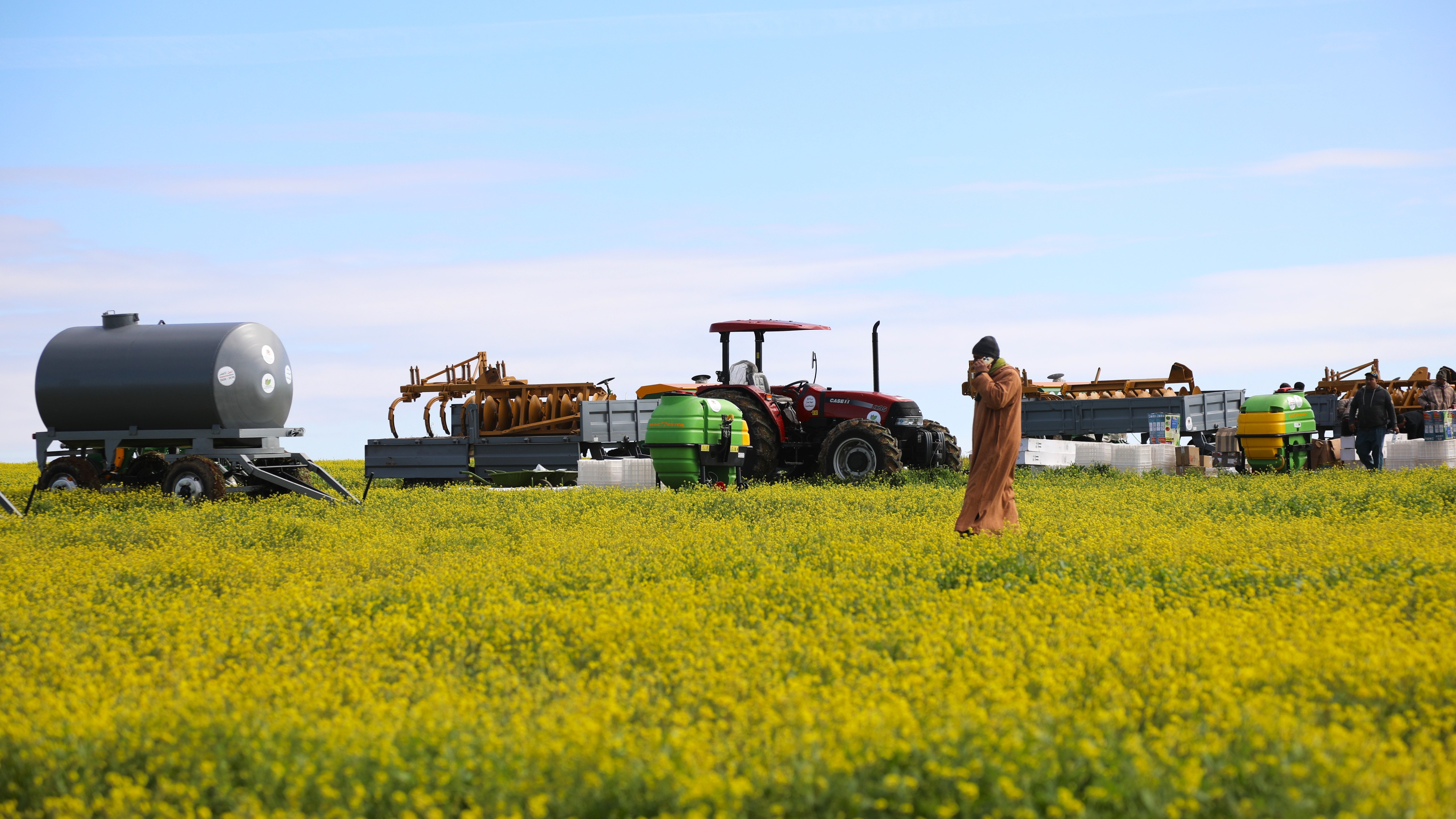 Performance agricole : Malgré le rebond, la souveraineté reste à bâtir